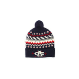 Ski Slope Beanie