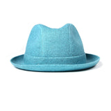 Short Brimmed Jersey Fedora