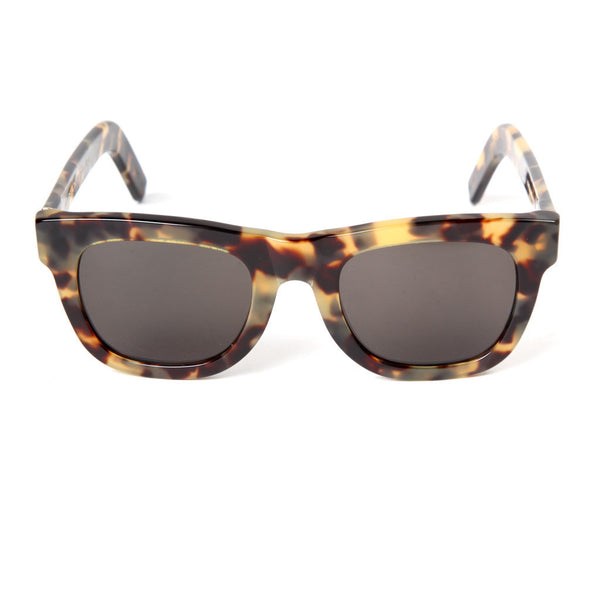 Ciccio (Summer Safari)