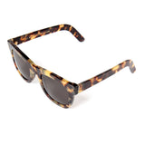 Ciccio (Summer Safari)