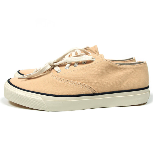 Topsider CVO